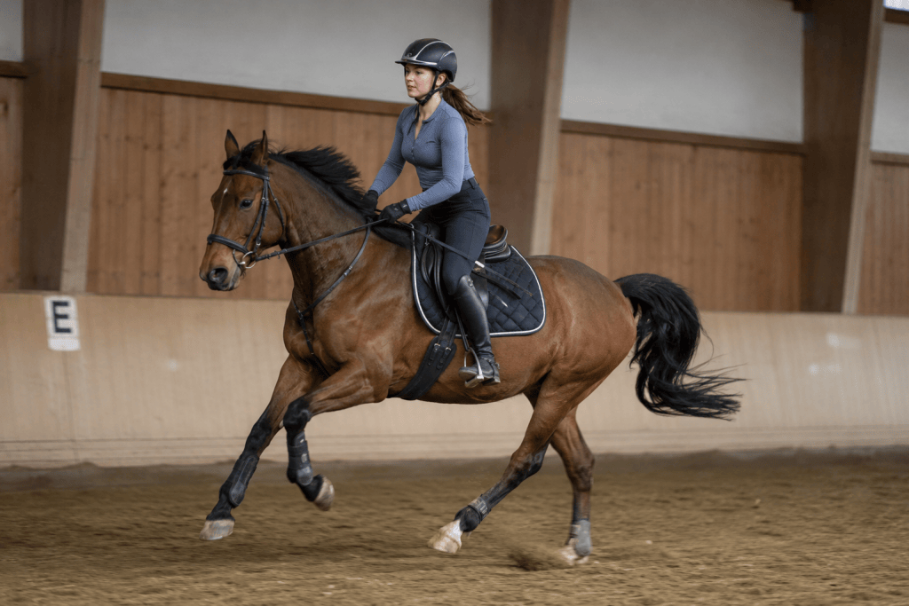 Galopp