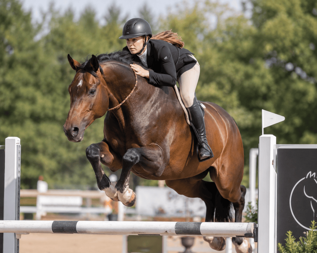 Reiten ohne Trense